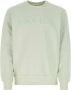 Alexander mcqueen Pastelgroen Katoenen Sweatshirt voor Heren Groen Heren - Thumbnail 1