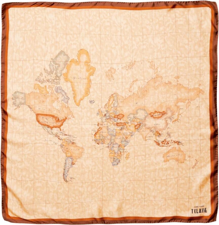 Alviero Martini 1a Classe Aloe Detail Zijden Sjaal Bruin Herfst Winter Brown Dames - Foto 2