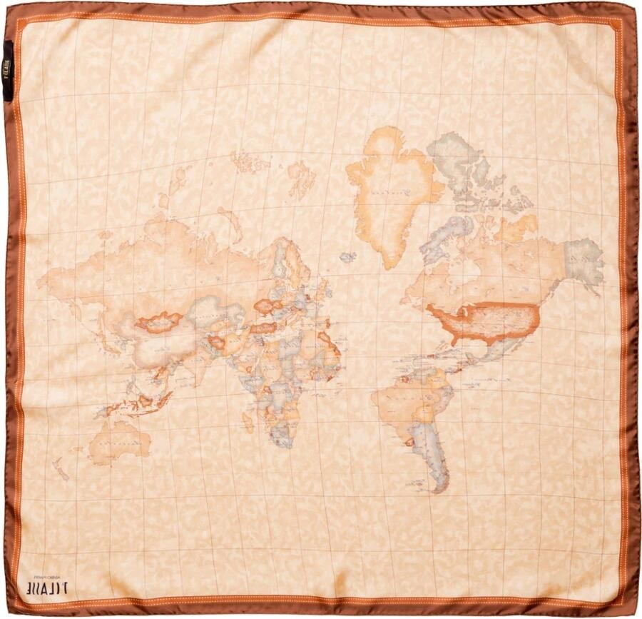 Alviero Martini 1a Classe Aloe Detail Zijden Sjaal Bruin Herfst Winter Brown Dames