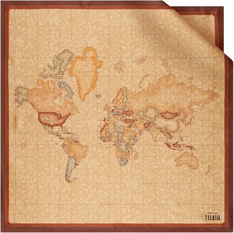 Alviero Martini 1a Classe Aloe Detail Zijden Sjaal Bruin Herfst Winter Brown Dames - Foto 4