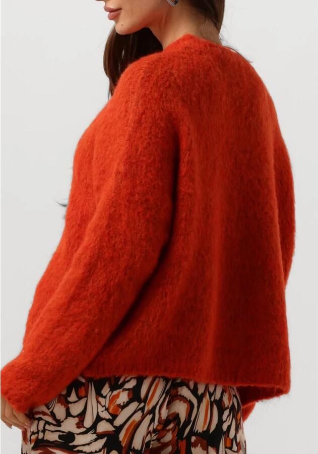 AMAYA AMSTERDAM Dames Truien & Vesten Bobbie Knitwear Oranje - Foto 6
