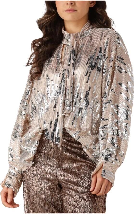 Amaya Amsterdam Glitter Blouse voor Glamoureuze Avonden Gray Dames - Foto 7