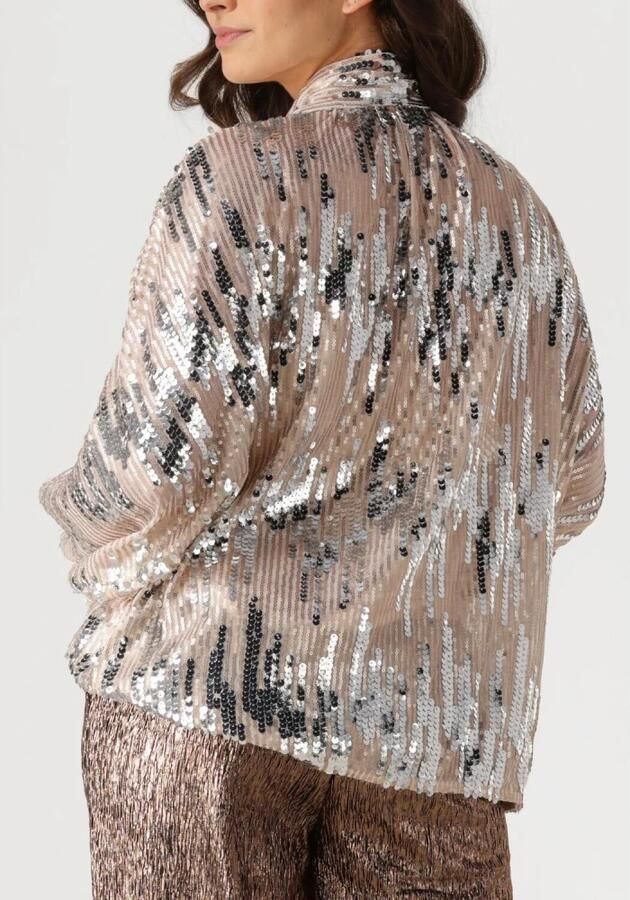 Amaya Amsterdam Glitter Blouse voor Glamoureuze Avonden Gray Dames - Foto 6