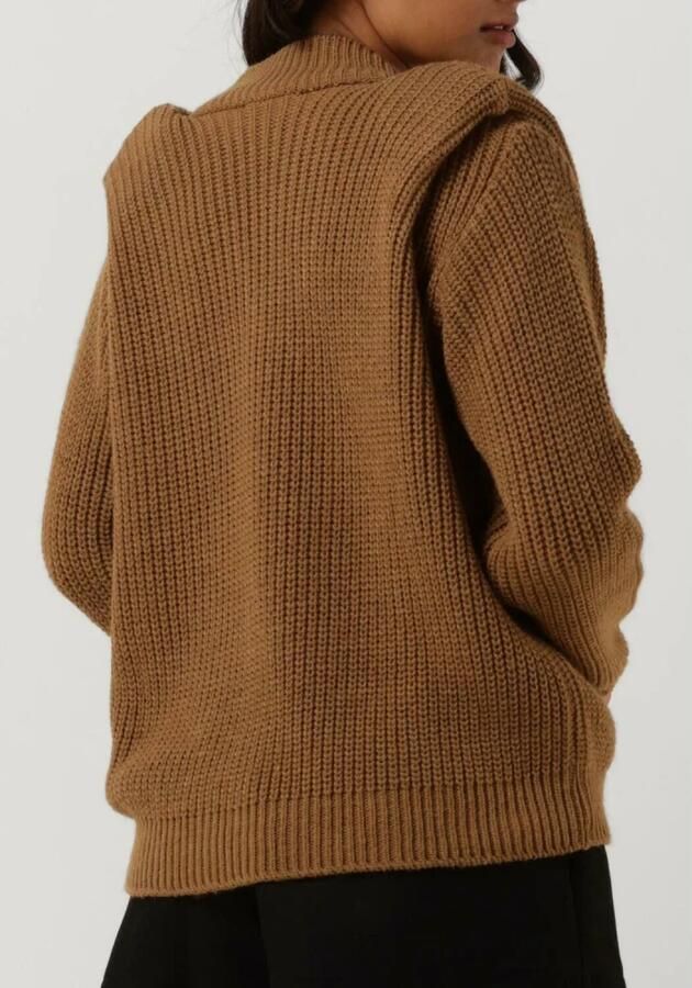 Amaya Amsterdam Jordan Gebreide Dames Truien & Vesten Brown Dames - Foto 5