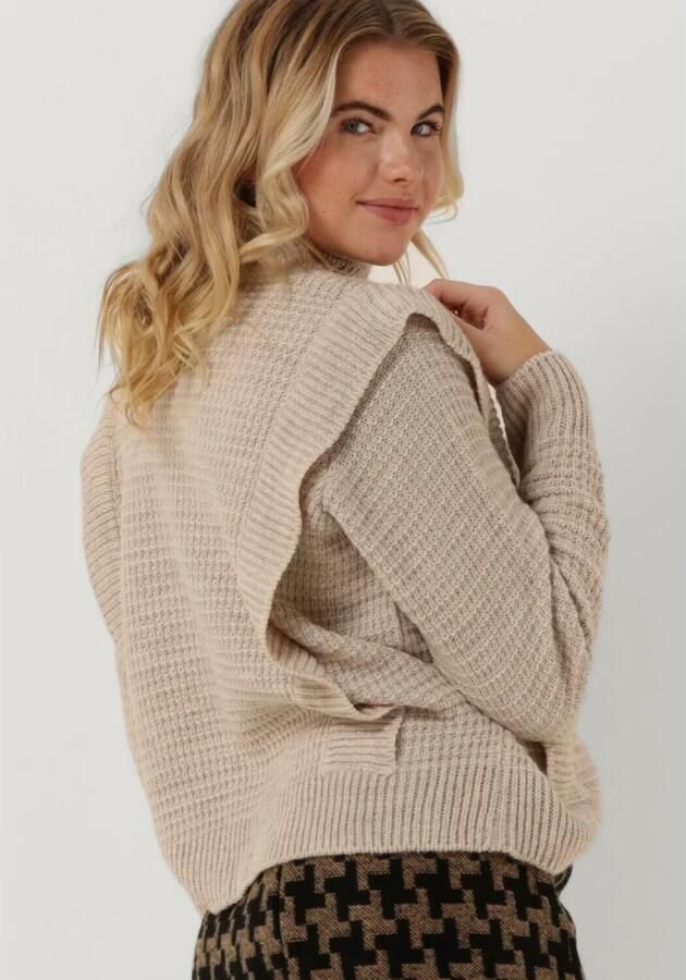 AMAYA AMSTERDAM Dames Truien & Vesten Kate Knitwear Beige - Foto 2