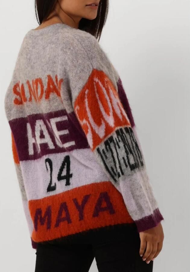 Amaya Amsterdam Stijlvolle Amsterdam Pullover voor Racen Orange Dames - Foto 7