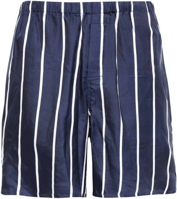 Ami Paris Blauw Gestreepte Katoenen Shorts voor Heren Blue Heren