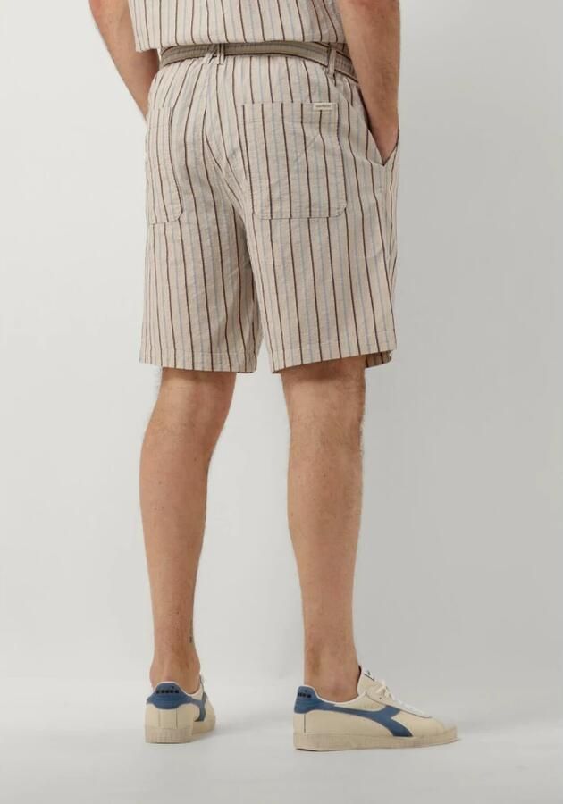 Anerkjendt Heren Gestreepte Shorts voor de Zomer Multicolor Heren - Foto 6