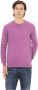 Baldinini Paarse Wol Crewneck Sweater met Metalen Monogram Purple Heren - Thumbnail 1