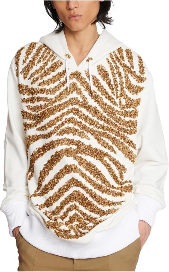 Balmain Hoodie met geborduurde zebra strepen Multicolor Heren - Foto 3
