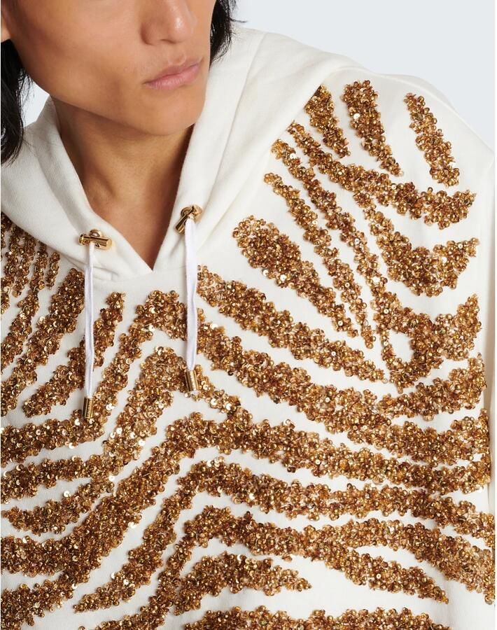 Balmain Hoodie met geborduurde zebra strepen Multicolor Heren