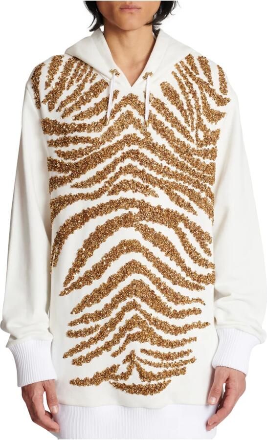 Balmain Hoodie met geborduurde zebra strepen Multicolor Heren - Foto 4