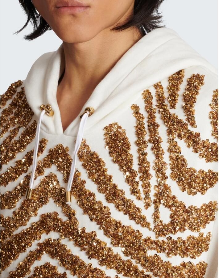 Balmain Hoodie met geborduurde zebra strepen Multicolor Heren - Foto 2