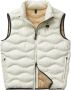 Blauer Gewatteerd Heren Vest voor de Winter Beige Heren - Thumbnail 1
