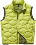 Blauer Gewatteerd Herenvest Blijf warm en stijlvol Groen Heren - Thumbnail 1