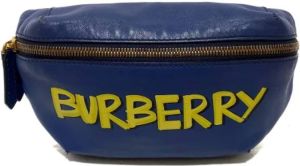 Burberry Vintage Pre-owned Belt Bags Blauw Heren