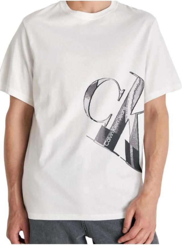 Calvin Klein Jeans T-shirt Korte Mouw J30J324022 YAF
