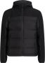 Calvin Klein Heren Gewatteerd Jack met Capuchon Zwart Black Heren - Thumbnail 1