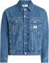 Calvin Klein Blauwe Katoenen Overhemden met Metalen Drukknopen Blue Heren - Thumbnail 2