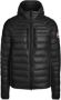 Canada Goose Lichte HyBridge Lite Herenjas Black Heren - Thumbnail 1