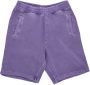 Carhartt WIP Casual korte broek Purple Heren - Thumbnail 1