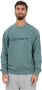 Carhartt WIP Duster Sweat Sweaters Kleding discovery green maat: M beschikbare maaten:M L - Thumbnail 5