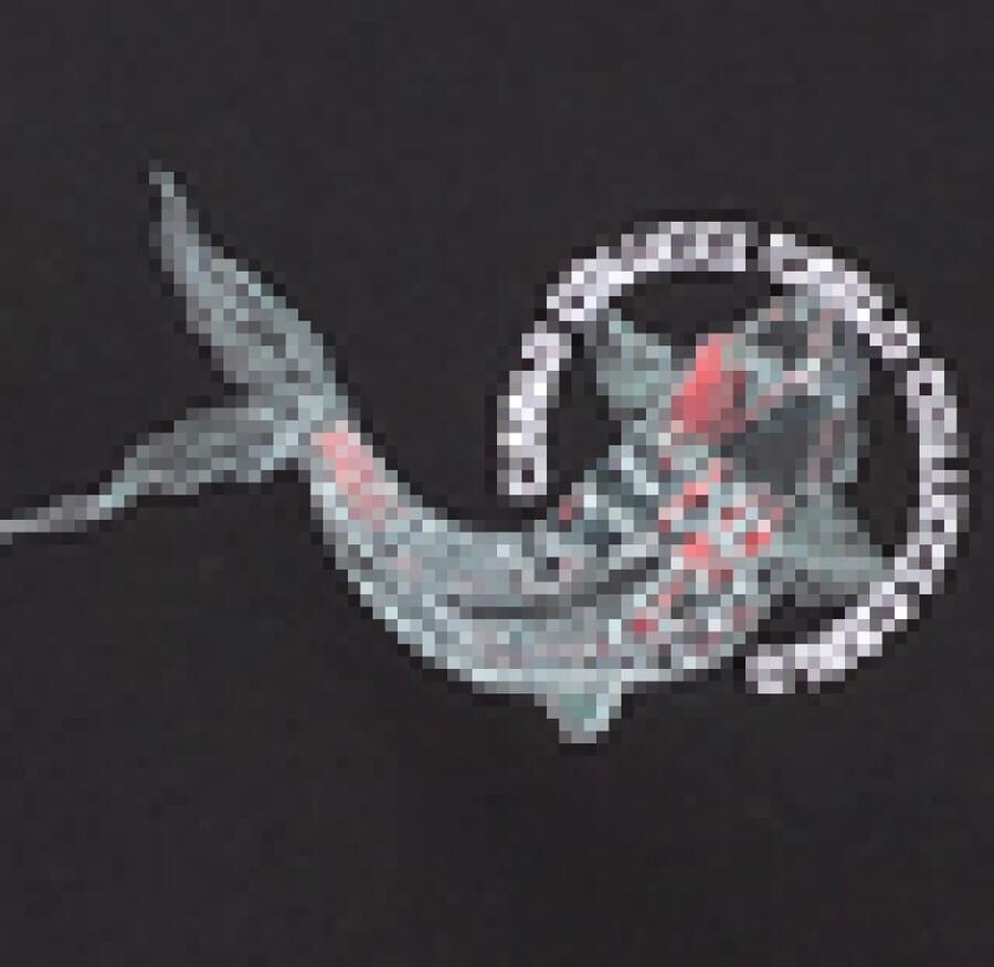 Carlo colucci Milano naar Tokyo Dorio T-shirt Black Heren