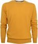 Cashmere Company Jersey 151 Yellow Heren - Thumbnail 1