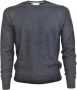 Cashmere Company Jersey Grijs Heren - Thumbnail 1