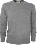 Cashmere Company Shirts Grijs Heren - Thumbnail 1