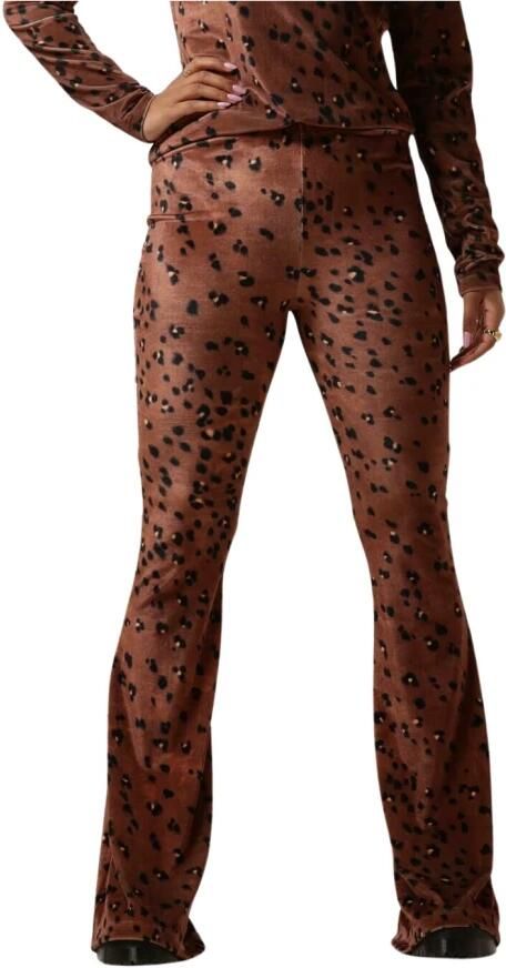 Catwalk Junkie Flared Bruine Broek Megan Brown Dames - Foto 5