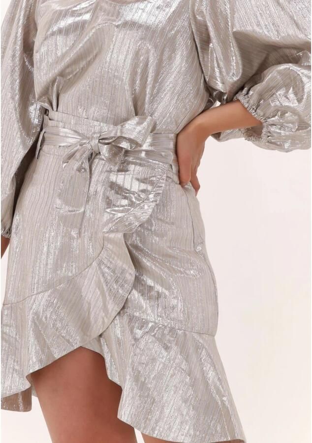 Catwalk Junkie Zilveren Rok Elena Gray Dames