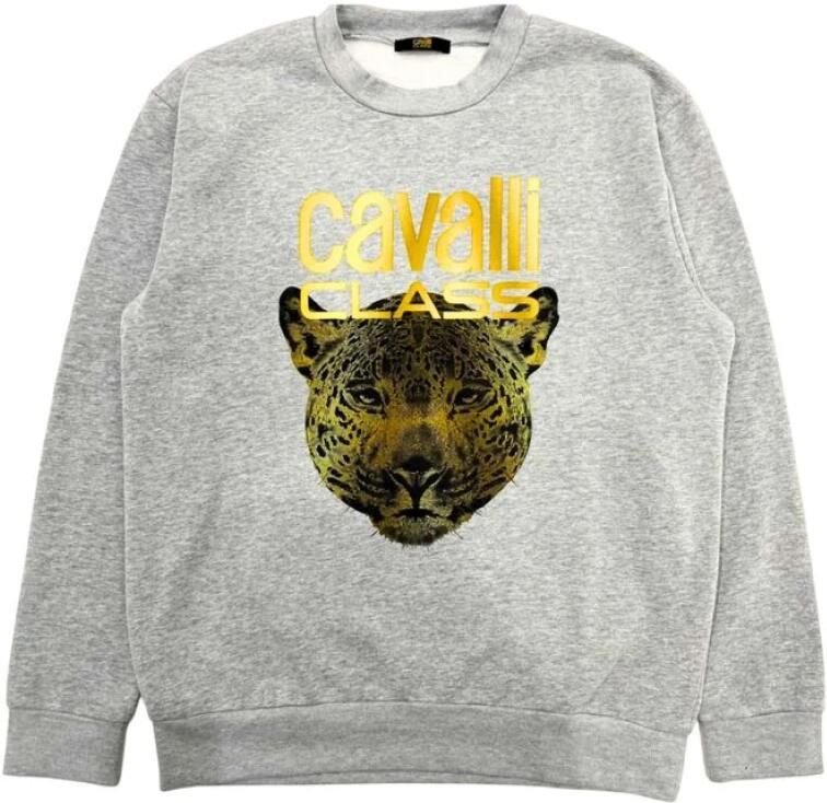 Cavalli Class Grijze Fleece Hoodie met Bedrukt Logo Gray Heren