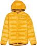 Champion Hooded Jacket Pufferjassen Kleding RDY RDY ALLOVER CHP9555 maat: 98 beschikbare maaten:80 86 92 98 - Thumbnail 1