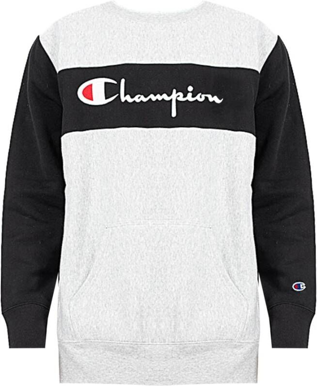 Champion Sweatshirt Grijs Heren