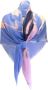 Chanel Vintage Pre-owned Cashmere scarves Blauw Dames - Thumbnail 1