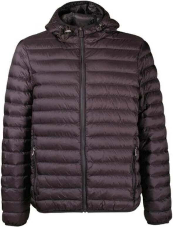 Ciesse Piumini Down Jackets Bruin Heren