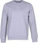 Colorful Standard Klassiek organisch sweatshirt Grijs Heren - Thumbnail 1