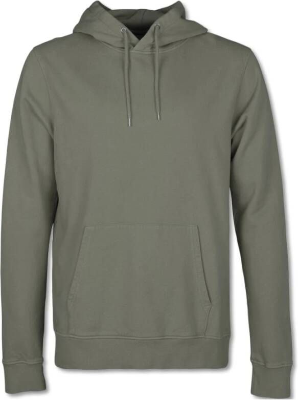 Colorful Standard Klassieke organische hoodie Groen Heren