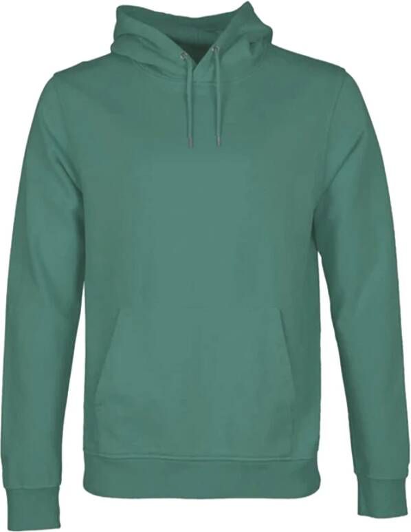 Colorful Standard Hooded sweatshirt Classic Organic Pine Green Groen Heren
