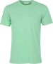 Colorful Standard T-shirt Classic Organic Groen Heren - Thumbnail 1