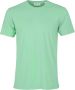 Colorful Standard T-shirt Classic Organic Groen Heren - Thumbnail 3