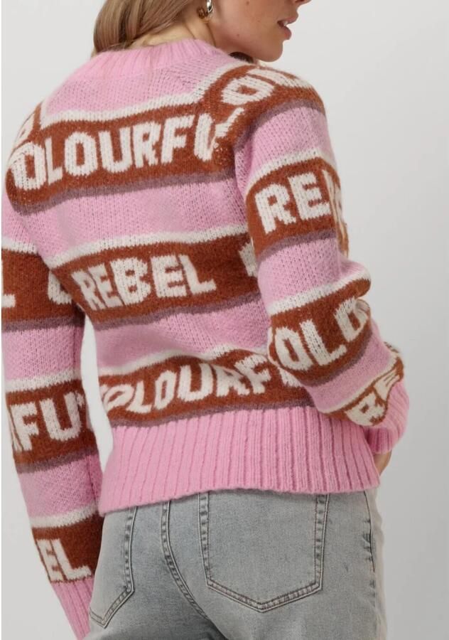 COLOURFUL REBEL Dames Truien & Vesten Ximenia Cr Intarsia Knitted Sweater Roze - Foto 6