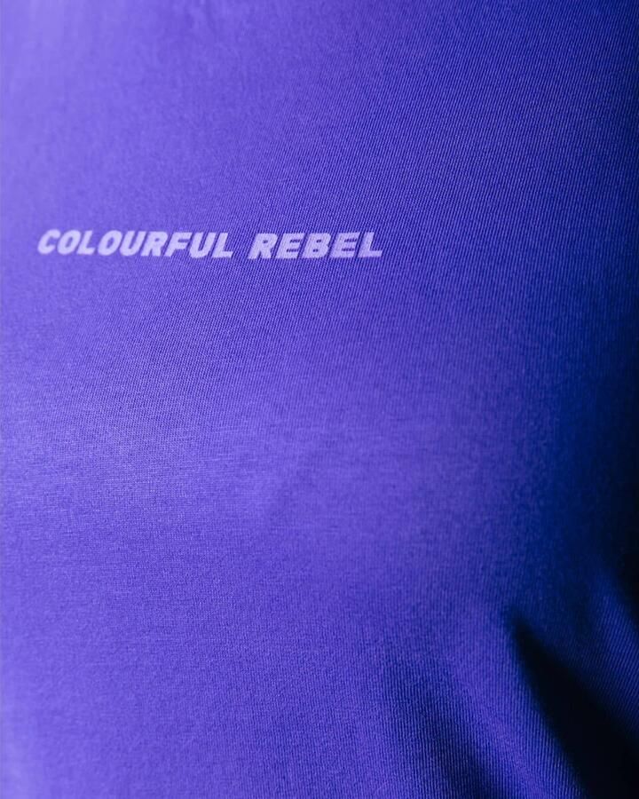 Colourful Rebel Uni Logo Boxy Tee Purple Dames - Foto 4