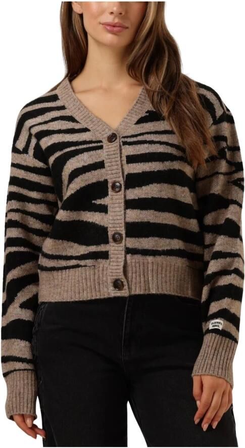 COLOURFUL REBEL Dames Truien & Vesten Shara Zebra Knitted Cardigan Bruin - Foto 3