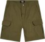 Dickies Groene Katoenen Shorts met Ritssluiting en Knoopsluiting Green Heren - Thumbnail 1