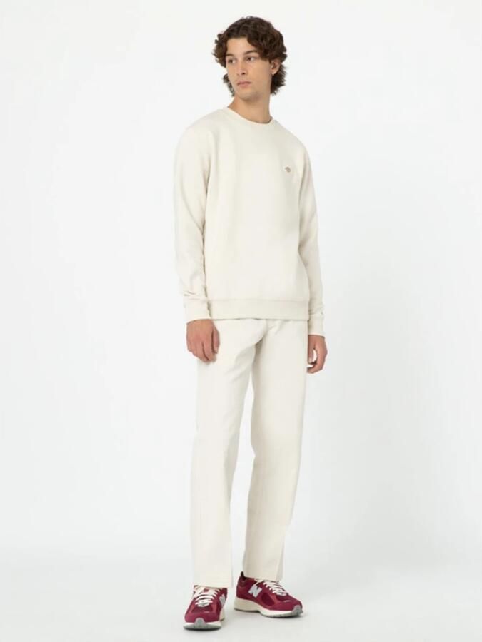 Dickies Beige Katoenen Broek met Ritssluiting en Haaksluiting Beige - Foto 5
