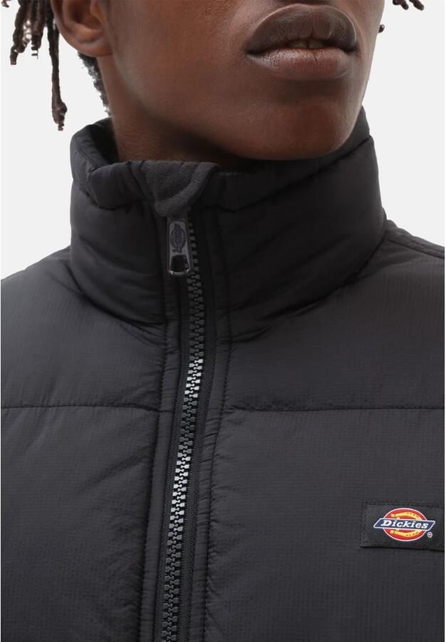 Dickies Waldenburg Pufferjassen Kleding black maat: L beschikbare maaten:S M L XL XXL - Foto 7