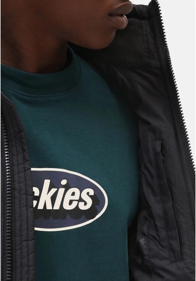 Dickies Waldenburg Pufferjassen Kleding black maat: L beschikbare maaten:S M L XL XXL - Foto 8