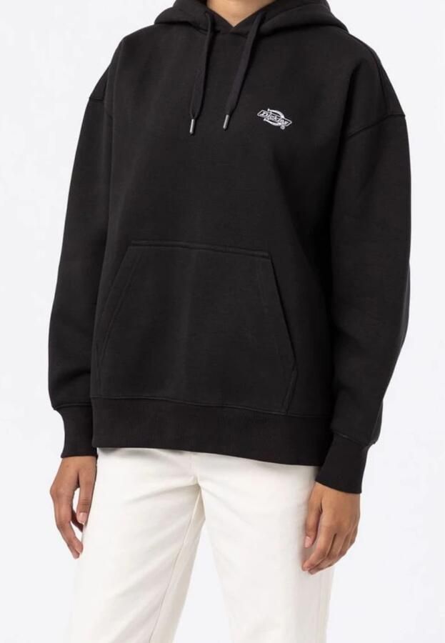 Dickies Hoodie met logostitching model 'SUMMERDALE'